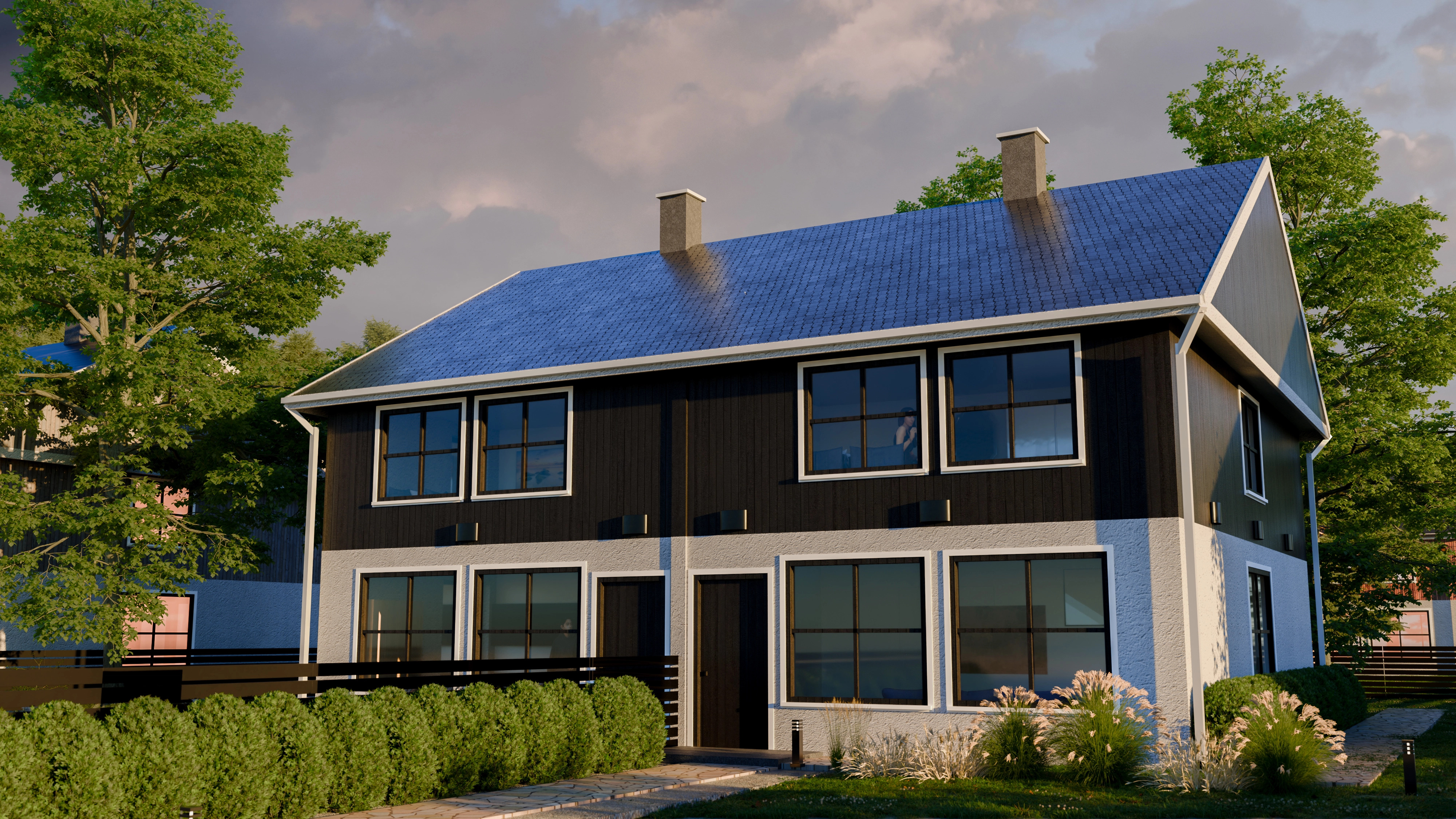 Project image 2