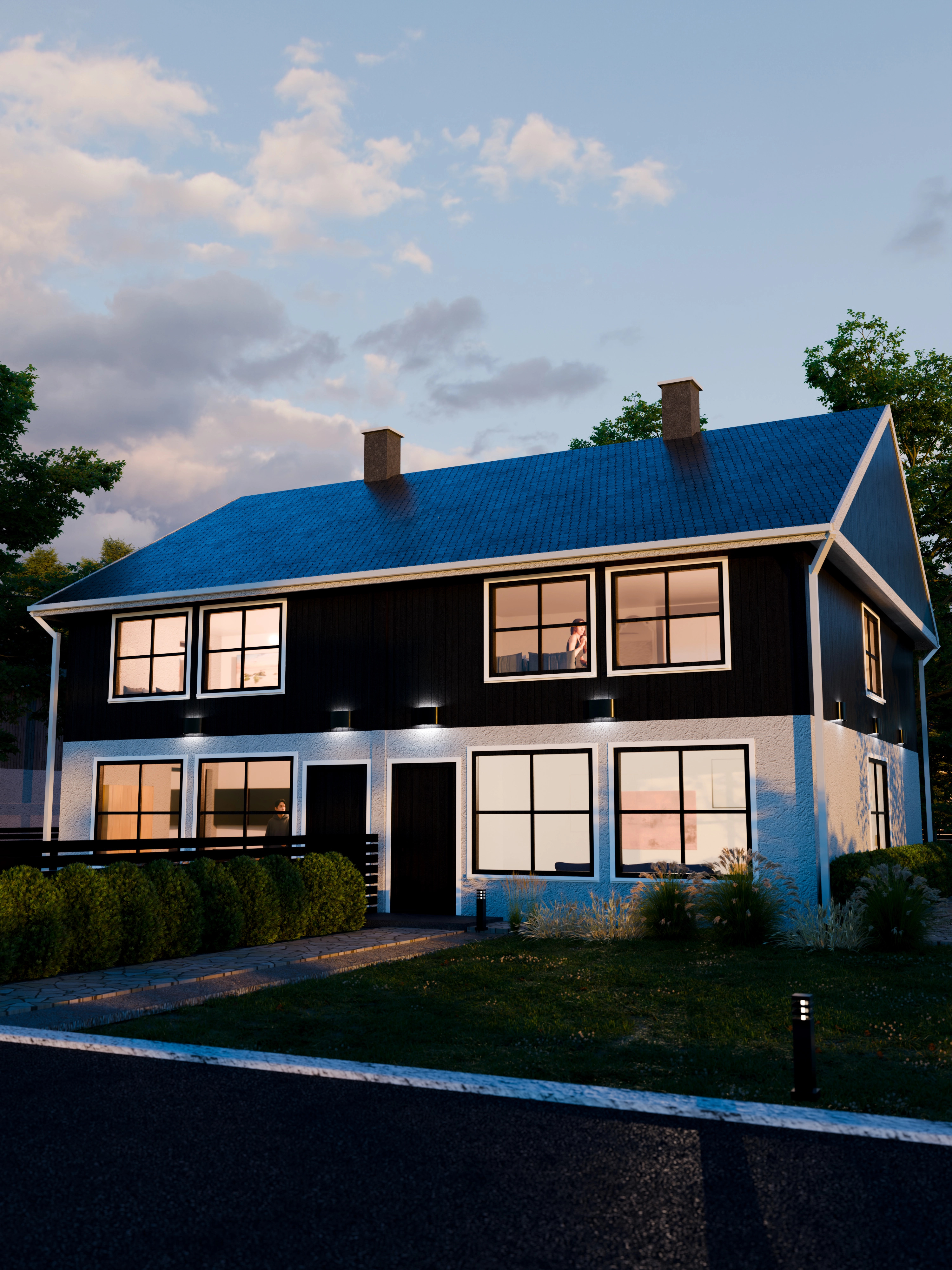 Project image 1